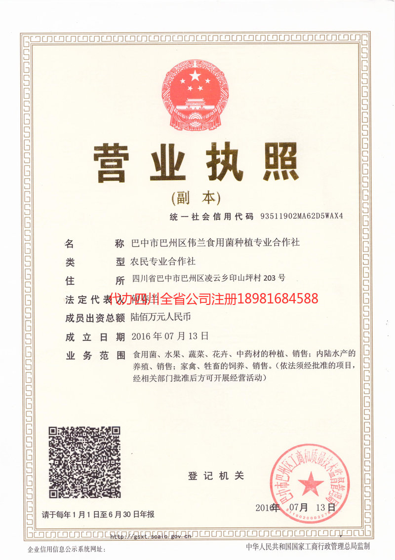 中卫中卫伟兰食用菌种植专业合作社